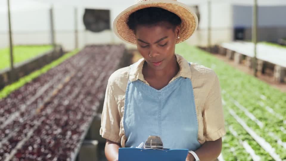 Miniature : Maîtriser l'irrigation goutte-à-goutte
